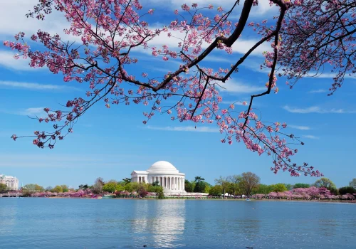 Washington, DC